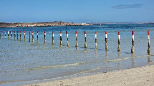 Nivica 25 Luxury Apartment Langebaan in Olifantskop