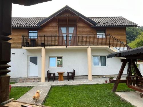 Cabana plaiului in Viseu de Sus