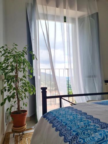 La Finestra Sui Tetti