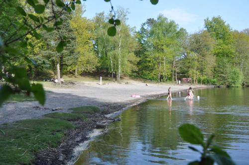 Skats, Reetgedecktes Ferienhaus am Strandweg in Lütjensee (Reetgedecktes Ferienhaus am Strandweg in Lutjensee) in Lütjensee