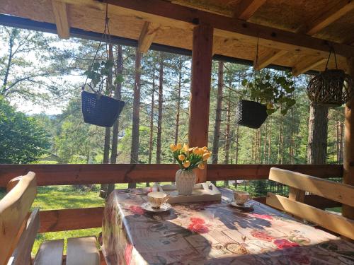Balkons/terase, Vila Tatjana-Zlatibor in Drijetanj