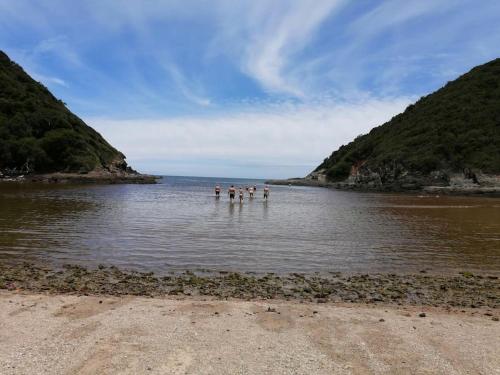 Big Family House in Natures Valley in Kurland