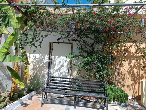 Dārzs, Exotic house in Kedro (Lesvos)