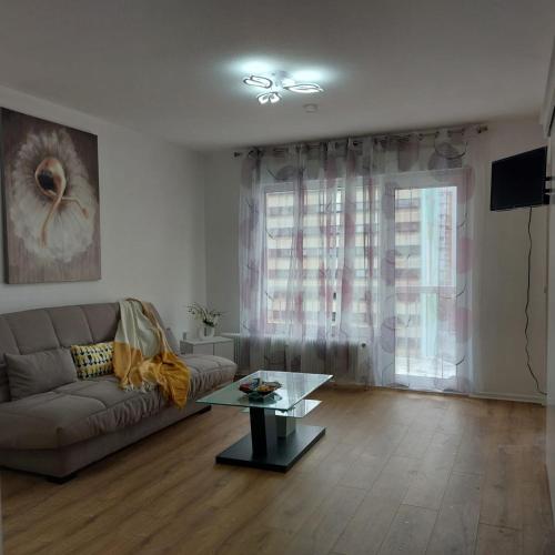 Studio touristique rénové, Strasburg