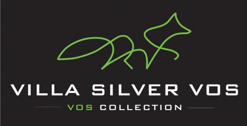 Villa Silver Vos, Hermanus (Foto 5)