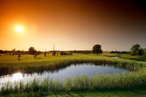 The Wiltshire - image 8
