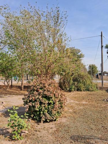 Dārzs, El Quincho Appart in Avia Terai