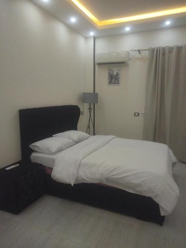 فيلا فاخره بحمام سباحه مكونه من 7 غرفه نوم امام مول العرب, Città del 6 ottobre (foto 3)