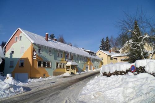 Viesnīcas āriene, Landgasthof Grüner Baum in Regnitzlosau
