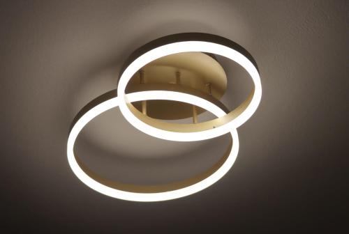 Blue superior modern studio