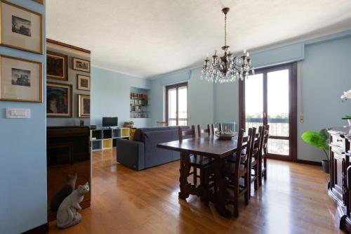 GuestHost - Milano Roomy Apt with all comfort! Metro M4 Linate, Mailand (Foto 6)
