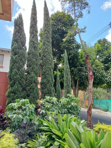 584693866 Hotel Lomas 10 Medellin by DICO
