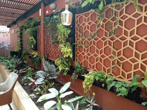 584693879 Hotel Lomas 10 Medellin by DICO