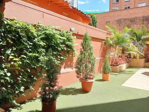 584693887 Hotel Lomas 10 Medellin by DICO