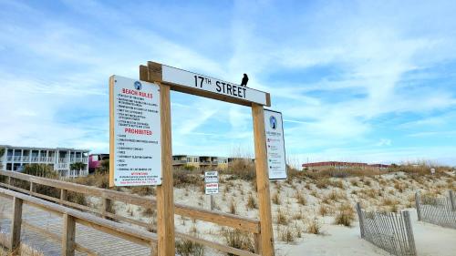 South Beach Ocean Condos S 01 by Tybee Beach Vacation Rentals South Beach Ocean Condos S 01 by Tybee Beach Vacation Rentals