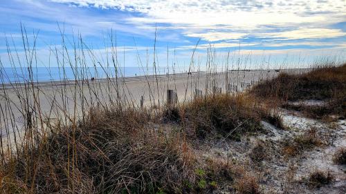 South Beach Ocean Condos S 01 by Tybee Beach Vacation Rentals South Beach Ocean Condos S 01 by Tybee Beach Vacation Rentals
