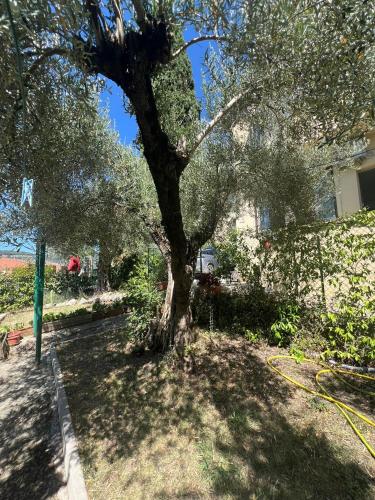 La locanda delle idee Santa Lucia in Altele