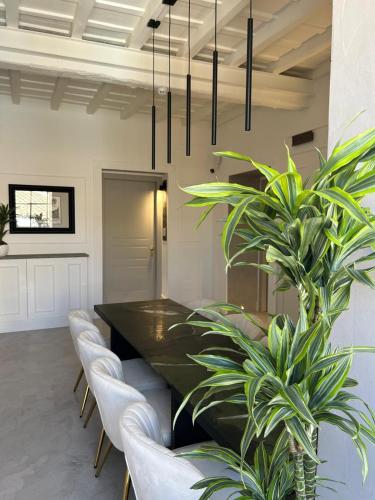 Palazzo Goldoni Condotti Collection - image 8