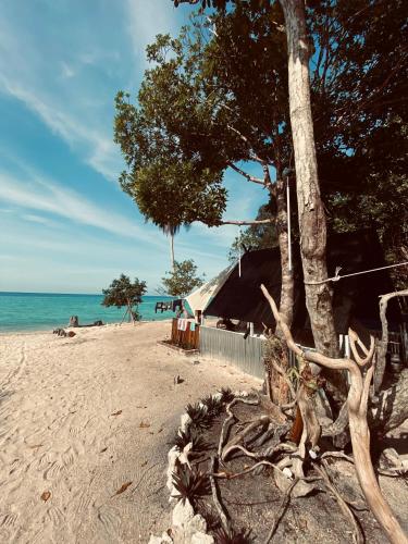 . Juita Glamping Perhentian island