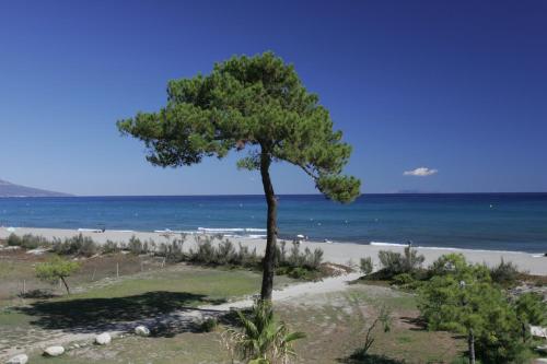 Adonis Borgo - Résidence Cala Bianca - image 9