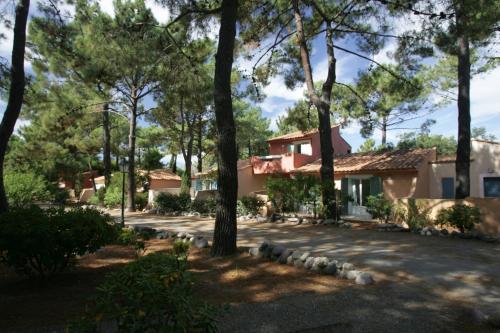 Adonis Borgo - Résidence Cala Bianca - image 10
