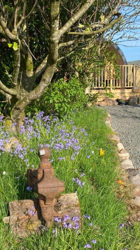 View, The Fells - Campsie Luxury Pods with hot tub in Campsie and Kirkintilloch North