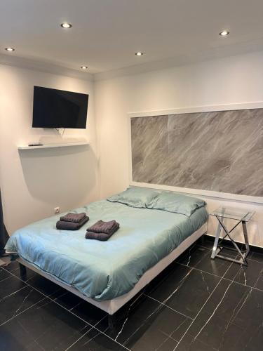 Appartement t1 aiguebelle
