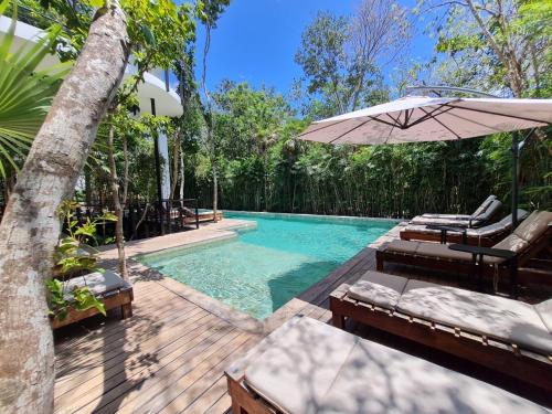 Amazing & Modern Mexican House in Tulum-Pool-GYM By Yeah in Tulum, Mexico