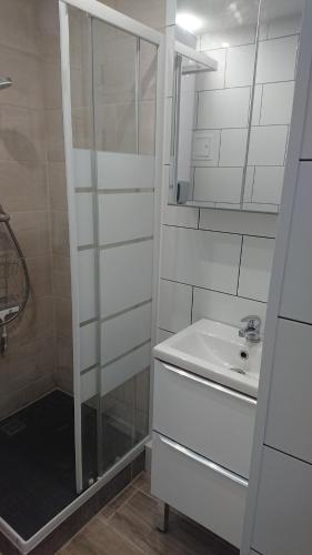 Shower, Stylish Studio with Kitchen Lille in Hellemmes