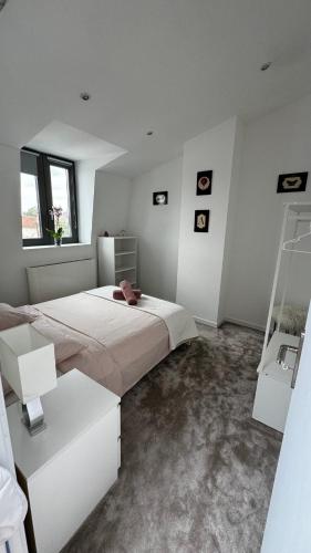 Maison Cosy - Maison de Maitre in Saint-Andre-lez-Lille