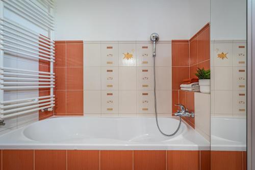 ฝักบัว, Apartment Komin in ซาบอฟเรสกี