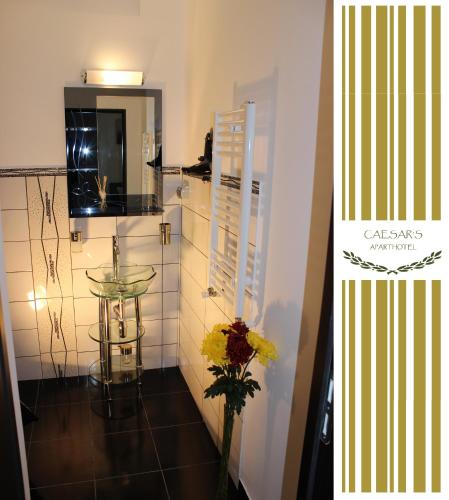 Bucur Accommodation, Bukurešť (fotografie 9)