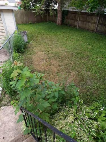 Located 1 mile from Downtown and Knox College Located 1 mile from Downtown and Knox College