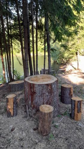 Căbănuța Busuioc Colibita Căbănuța Busuioc Colibita