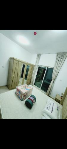 عجمان النعمية عجمان النعمية