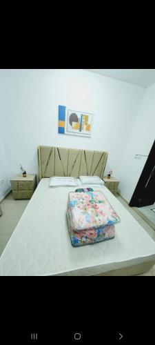 عجمان النعمية عجمان النعمية