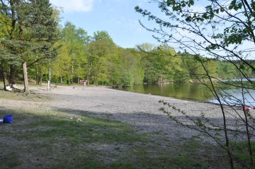 pludmale, Reetgedecktes Ferienhaus am Strandweg in Lütjensee (Reetgedecktes Ferienhaus am Strandweg in Lutjensee) in Lütjensee