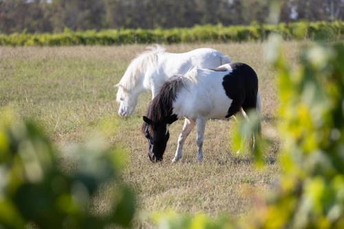 布罗肯美景庄园酒店