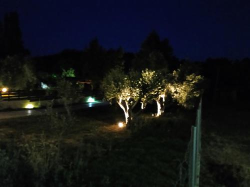 Fish eye, Nikiti (Foto 10)