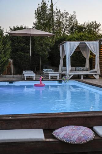 Pool Garden-Oaza, Skopje (foto 11)