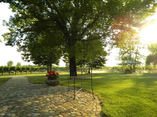 Tenuta Santomè - image 8