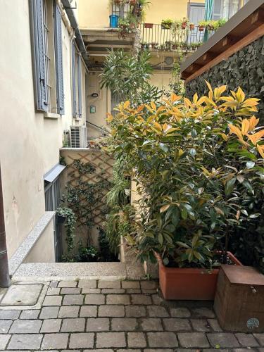Pola's House, Milan