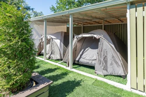 Garden Camping, Tallinn (photo 8)
