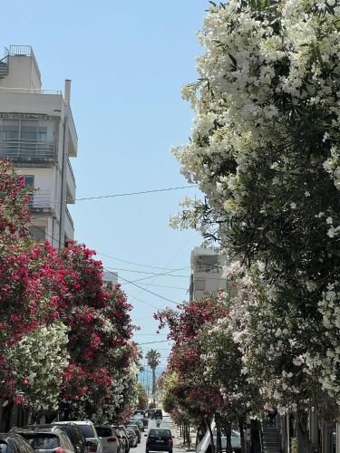 One-Bedroom Apartment room in Durres Vintage Apartment