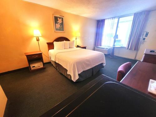 Days Inn by Wyndham Alexandria South - main image