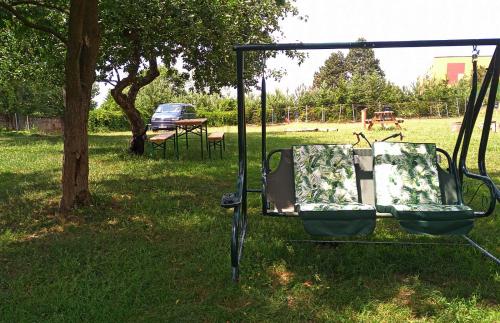 kemp -chatky-Doctor in คุคส์