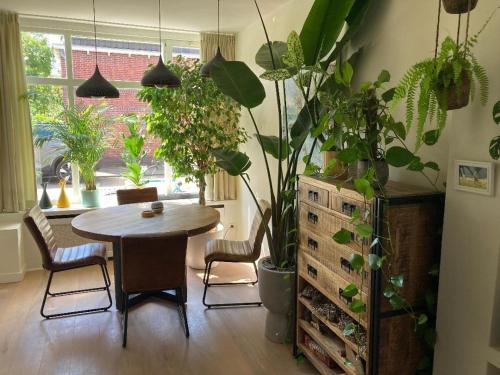 Charming little palace near the city center only bookable for long stay whole February 2026, Utrecht (Foto 4)