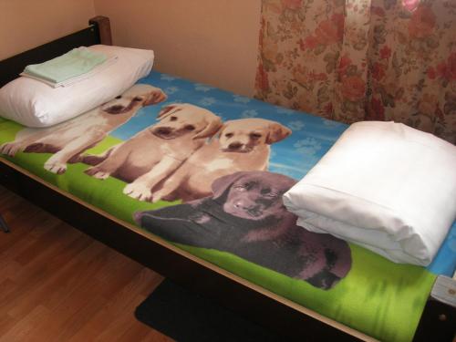 Elizabeth's YH Rooms - image 4