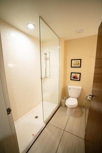 Comfort Suites Brookings - image 6