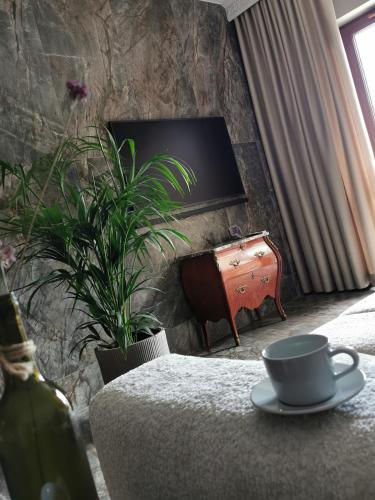 Green Park Resort APARTAMENT B9 Basen, Sauna, Jacuzzi, Siłownia, Widok, Sklářská Poruba (fotografie 7)